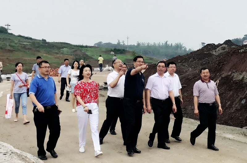 劉永湘市長(zhǎng)視察航空產(chǎn)業(yè)園及玉章故里項(xiàng)目進(jìn)展