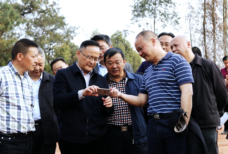 市人大主任譚豹率隊(duì)到公司建設(shè)項(xiàng)目新國(guó)田園綜合體現(xiàn)場(chǎng)調(diào)研