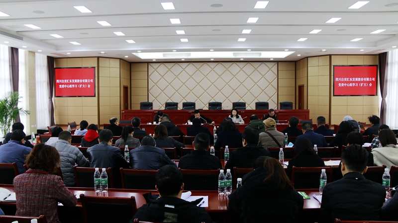 公司召開黨委擴大會 傳達學(xué)習(xí)市十三次黨代會精神